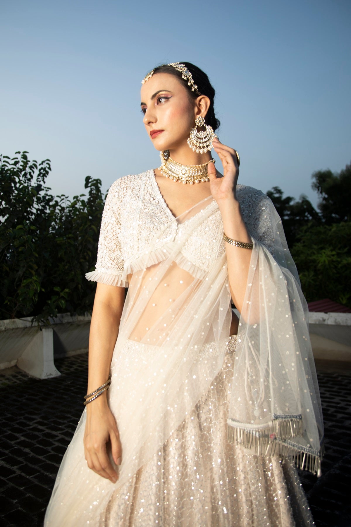 Ivory Net Embroidered Flowy Lehenga Set