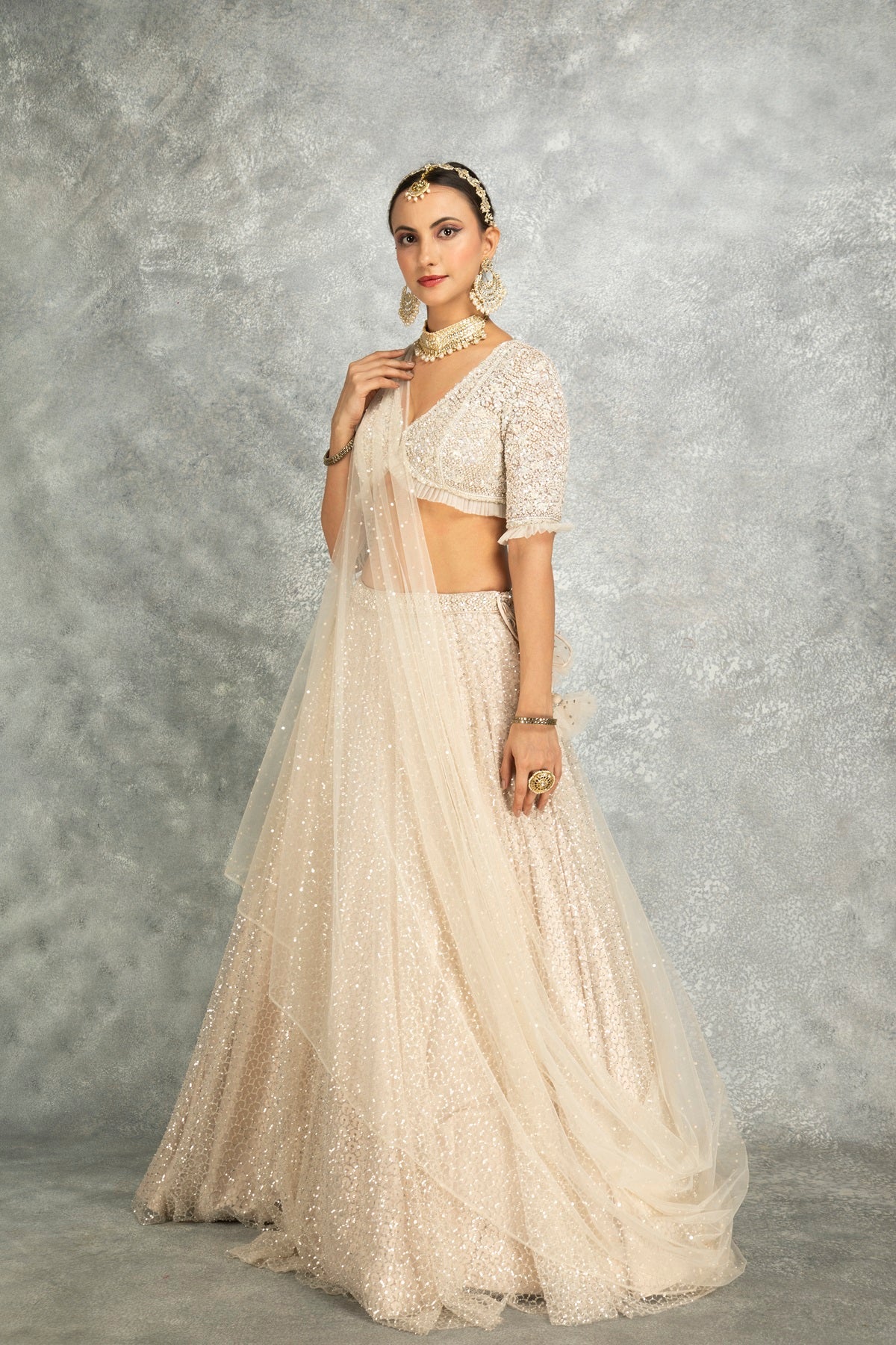 Ivory Net Embroidered Flowy Lehenga Set